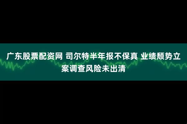 广东股票配资网 司尔特半年报不保真 业绩颓势立案调查风险未出清
