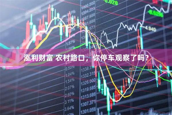 泓利财富 农村路口，你停车观察了吗？